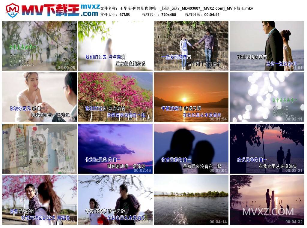 王华东-你曾是我的唯一_国语_流行_MD403687